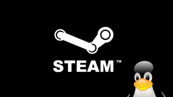 Jövő héten várható a Steam Linux bétája