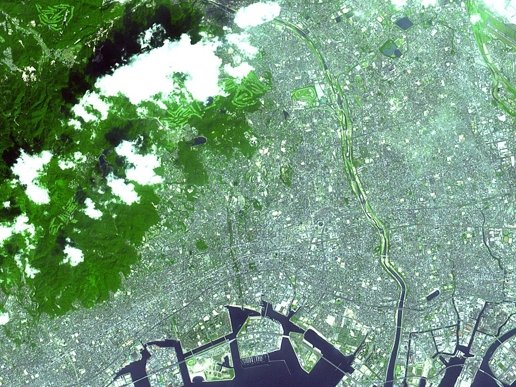 Kamera-specialistát vett a Google