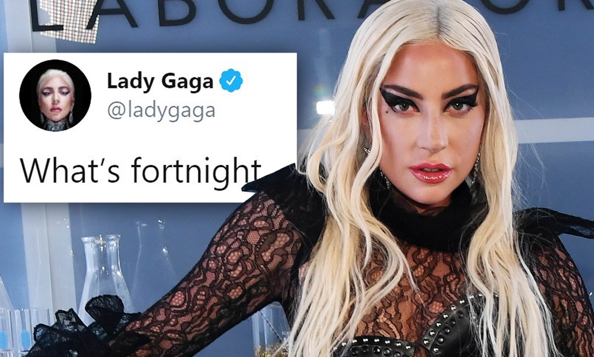 Lady Gaga: mi az a Fortnight?