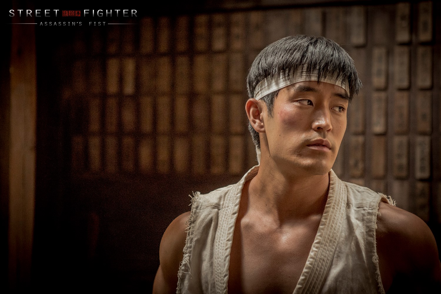 Május 23-án indul a Street Fighter: Assassin's Fist websorozat