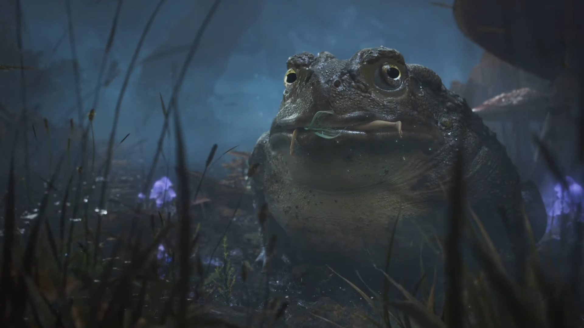 Megcáfolták, hogy MMO lenne az új Fable