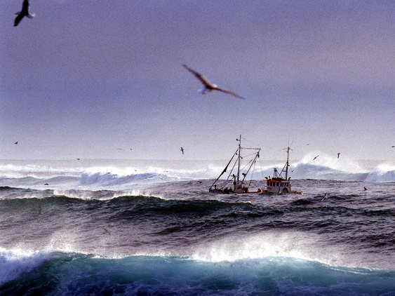 Mélytengeri internetkábel lefektetését támogatja a Google?