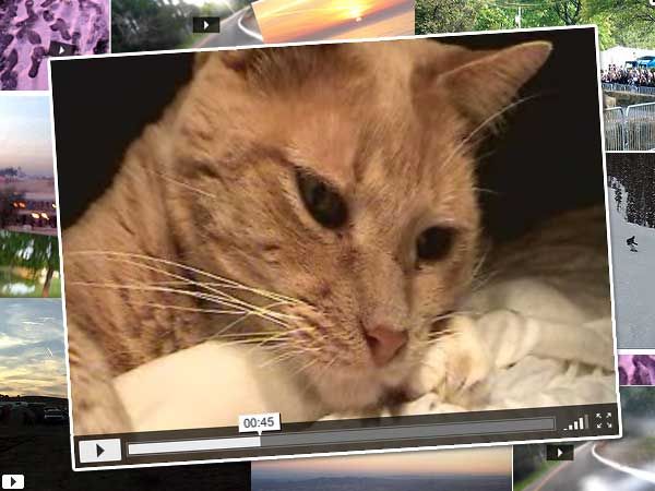 Mozgóképek a flickr.com-on