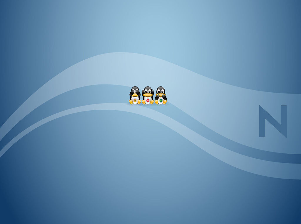 Novell sikerek a német egyetemistáknál