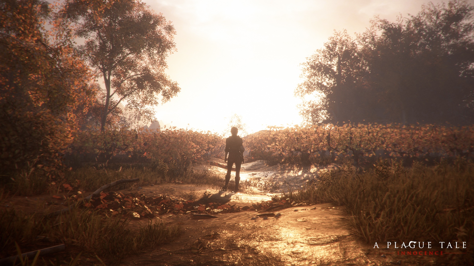 Pletyka: készül az A Plague Tale: Innocence folytatása, 2022-ben már meg is jelenik