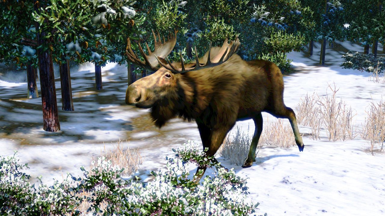 Pontos megjelenési dátumot kapott a Cabela s North American Adventures