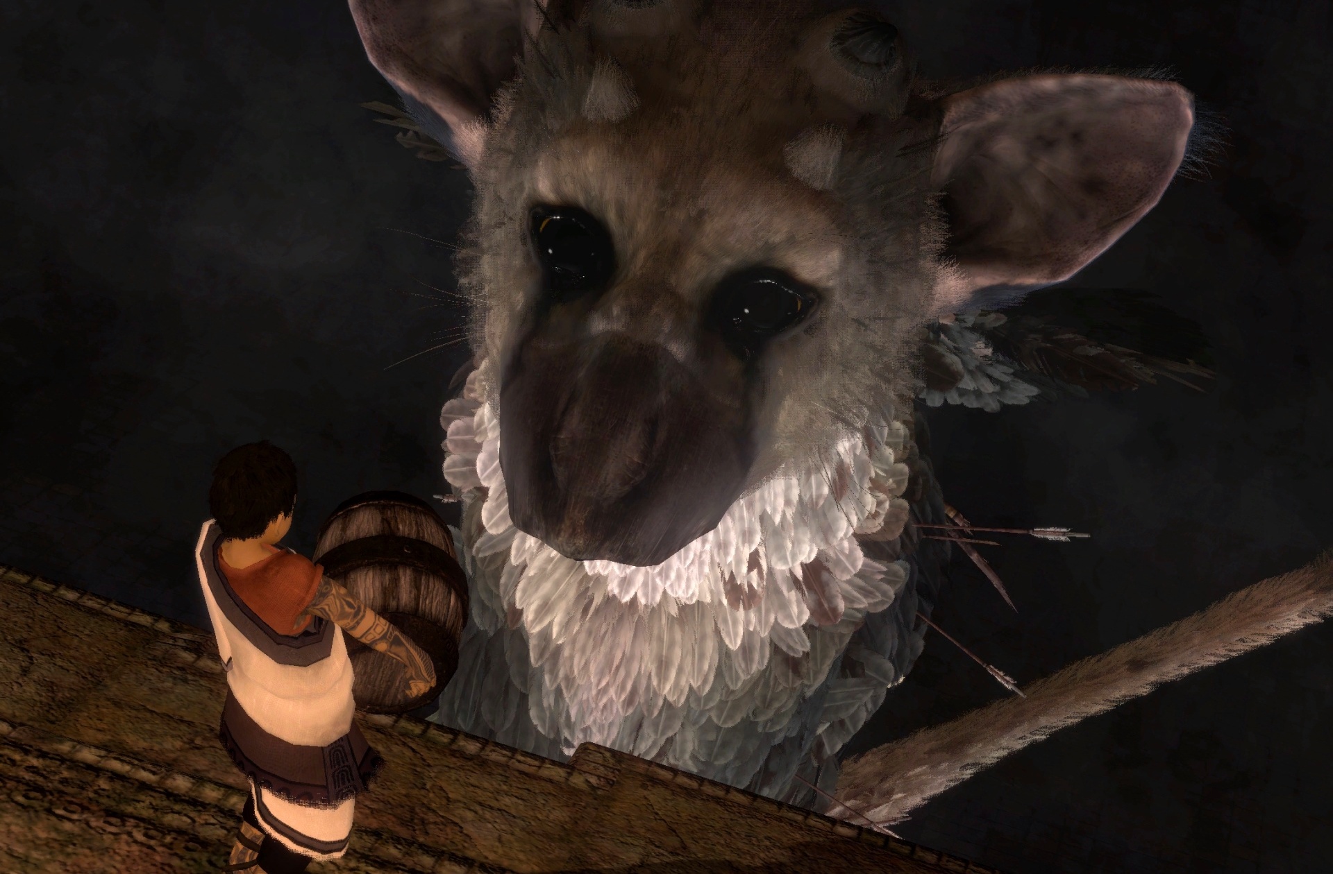 Project Trico Vs. The Last Guardian