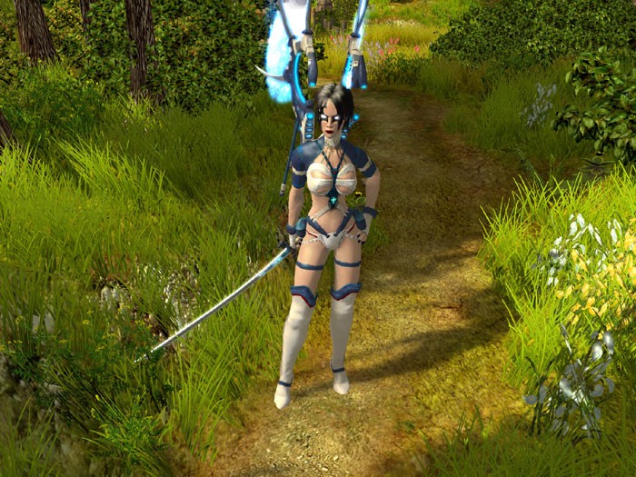 Sacred 2: Öröm és bánat, folytatás és kiegészítő