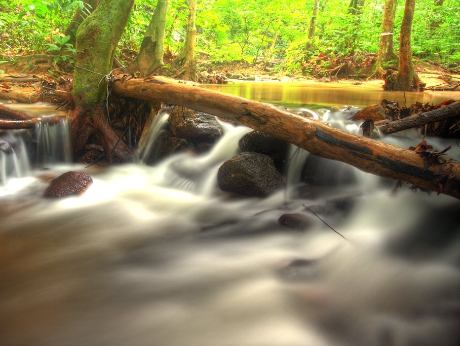 Sharp: Középpontban a környezetvédelem