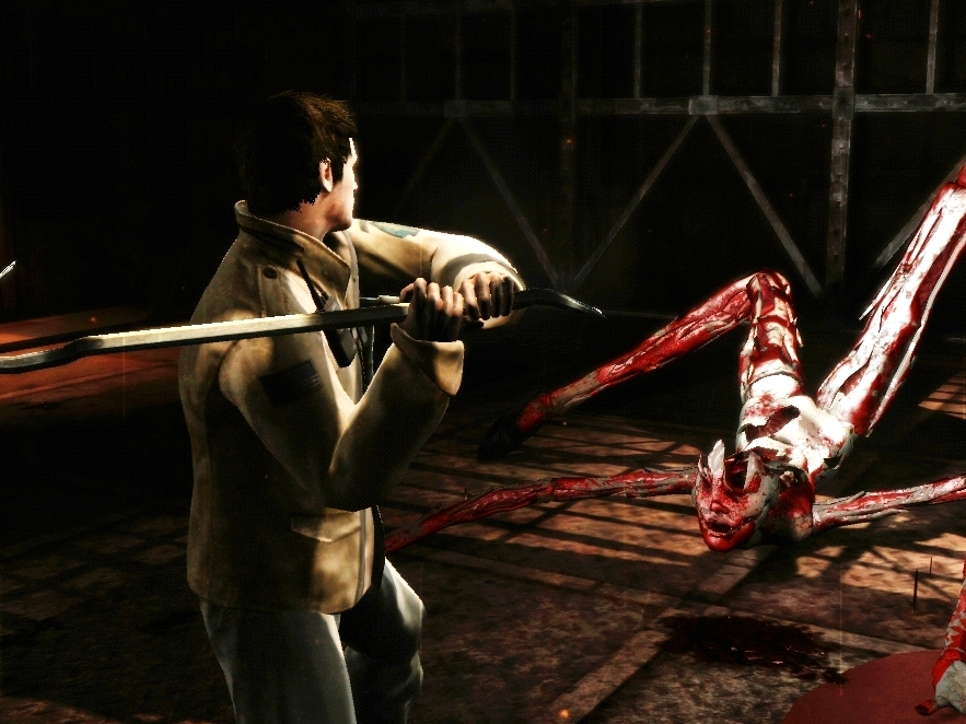 Silent Hill: Homecoming: Rémes képtár