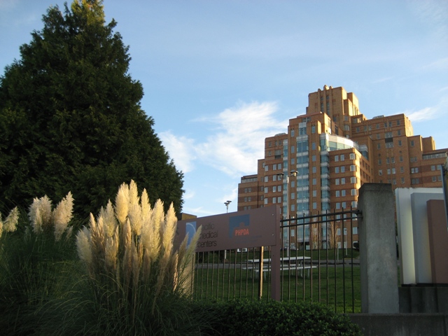 Steam-szerű szolgáltatást indít az Amazon.com?