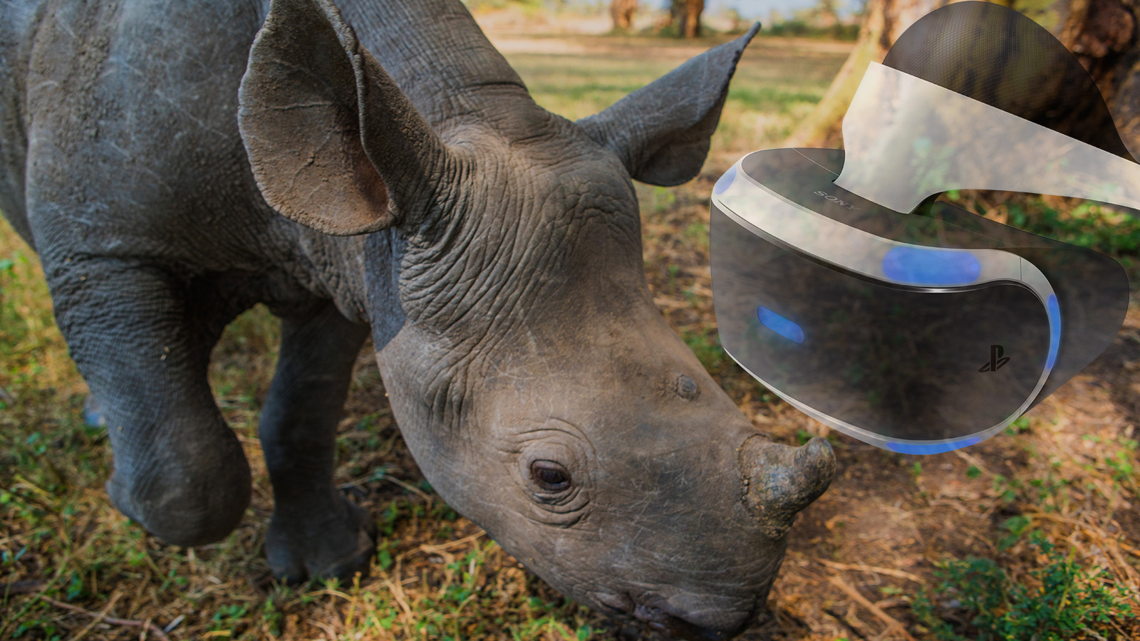 Szafarira invitál minket a legújabb PSVR alkotás