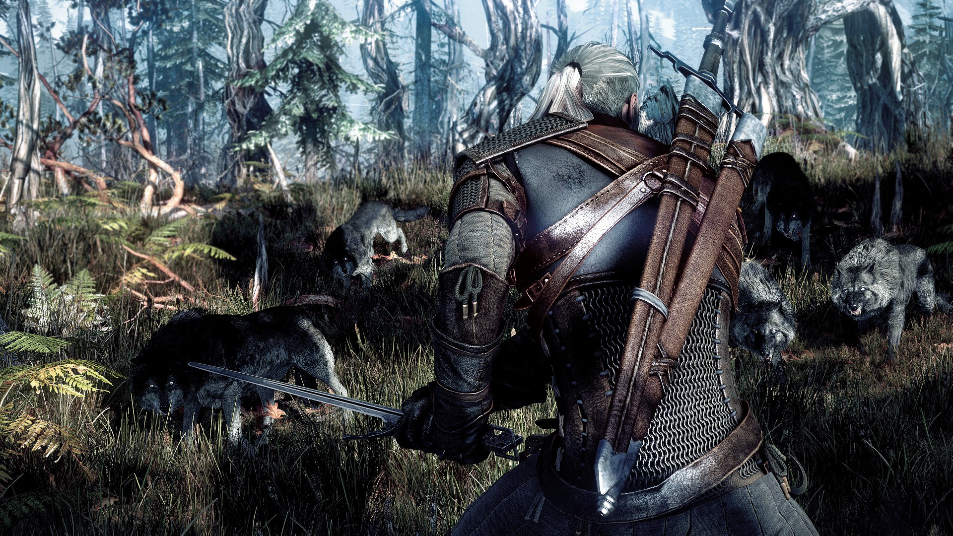 The Witcher 3: Wild Hunt – lehullt a lepel a következő ingyenes DLC-kről