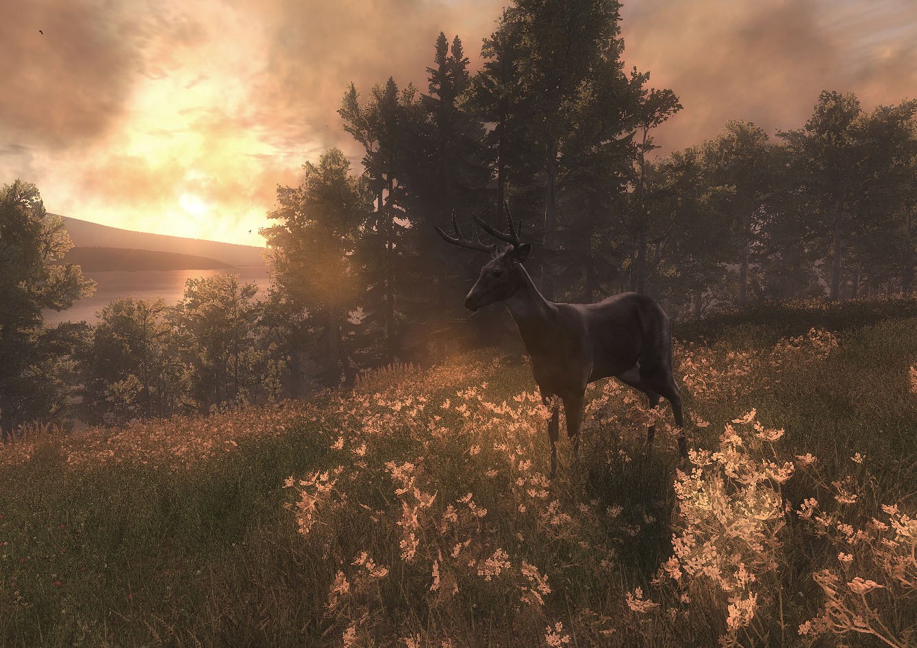 The Hunter: Elindult a nyílt béta