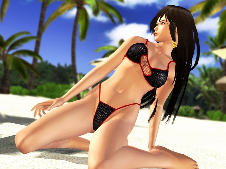 Tomonobu Itagaki kontra Tecmo: A cég szemszögéből