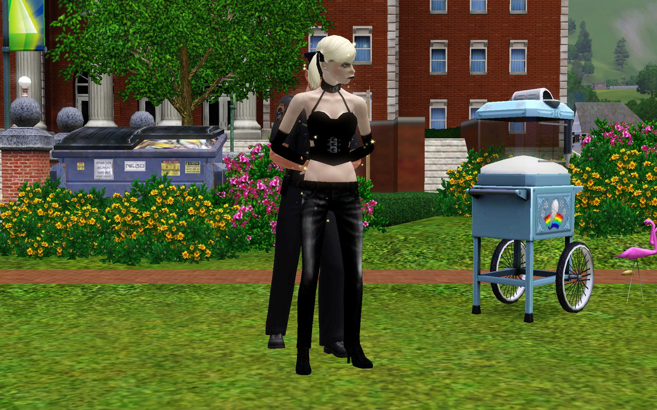 Úgy tűnik, hogy a terroristák is imádnak a The Sims 3-mal játszani