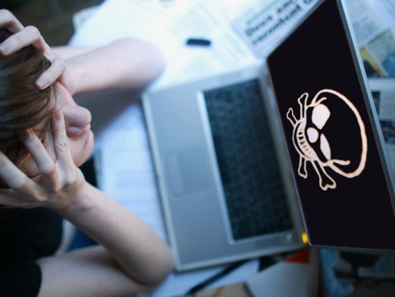 Veszélyes Rootkit vírus fertőzi a Windows PC-ket